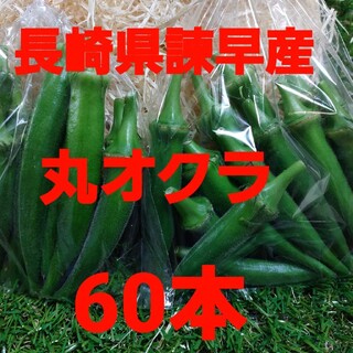 長崎県諫早産 丸オクラ60本(野菜)