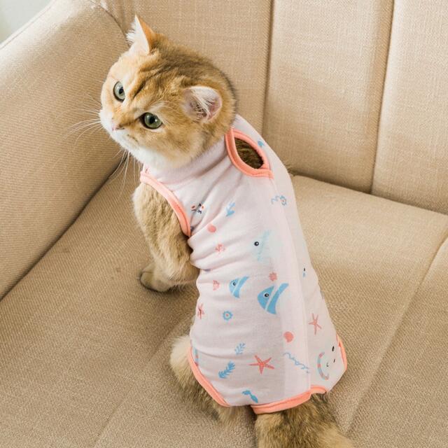 猫　傷舐め防止ウェア　猫服 その他のペット用品(猫)の商品写真