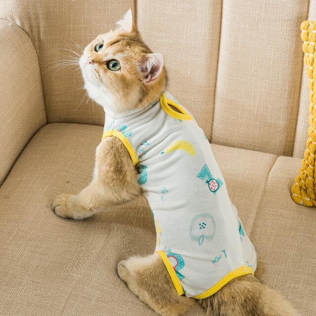 猫　傷舐め防止ウェア　猫服 その他のペット用品(猫)の商品写真