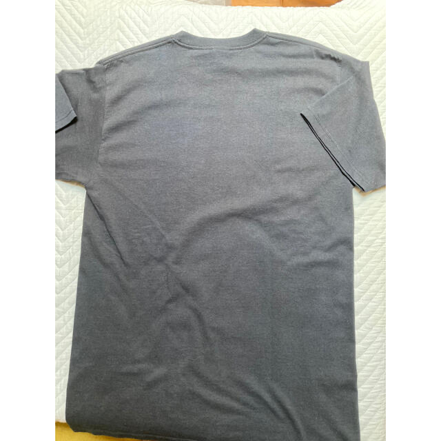 Anvil(アンビル)のVINTAGE  ICE-T  T-shirts メンズのトップス(Tシャツ/カットソー(半袖/袖なし))の商品写真