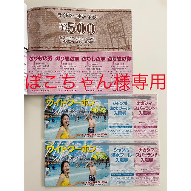 ナガシマスパーランド　ワイドクーポン5冊　500円分金券付き