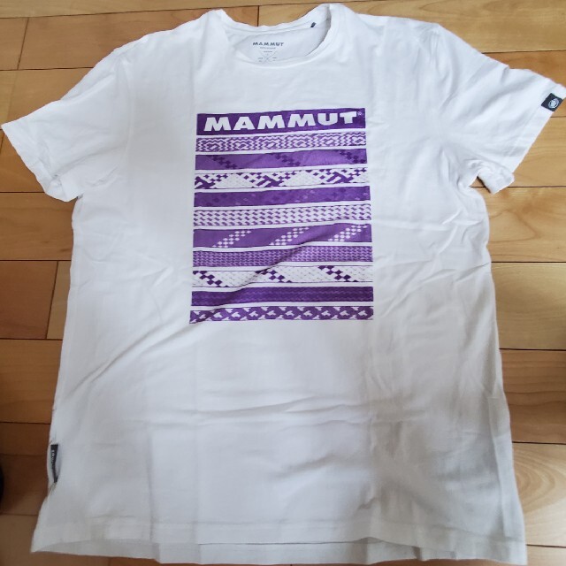 Mammut(マムート)のMAMMUT　Tシャツ　Asia XL メンズのトップス(Tシャツ/カットソー(半袖/袖なし))の商品写真