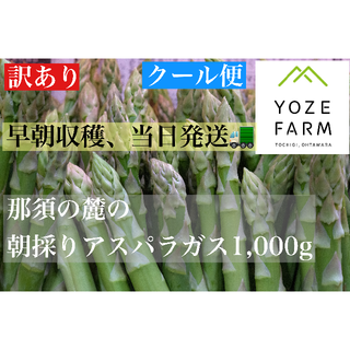 【訳あり品/クール便】那須の麓の朝採りアスパラガス　サイズいろいろ1 ,000g(野菜)