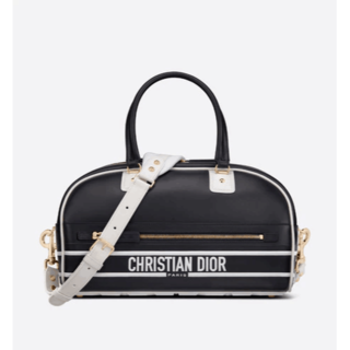 クリスチャンディオール(Christian Dior)のDIOR レディー ハンドバッグ#305(その他)