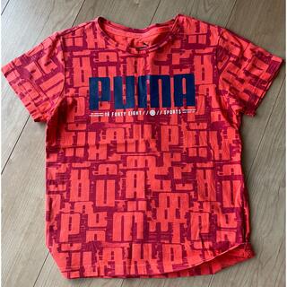 プーマ(PUMA)のPUMA Tシャツ(Tシャツ/カットソー)