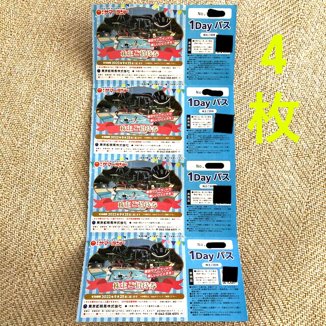 激安店舗 サマーランド株主優待券 チケット 1Dayパスばら売り対応いたします