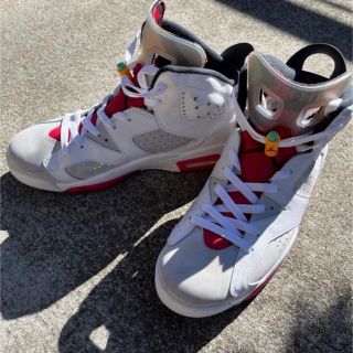 ナイキ(NIKE)のNIKE AIR JORDAN 6 "NEUTRAL GREY / HARE"(スニーカー)