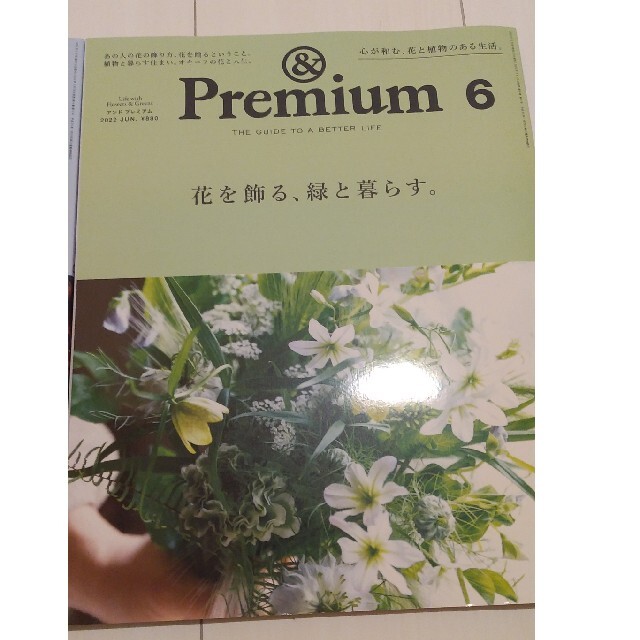 マガジンハウス(マガジンハウス)のアンドプレミアム＆premium2022年4月5月6月喫茶店創刊100号花を飾る エンタメ/ホビーの本(住まい/暮らし/子育て)の商品写真