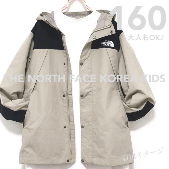 THE NORTH FACE(ザノースフェイス)の93.日本未入荷⭐︎ ノースフェイス マウンテンジャケット レディースのジャケット/アウター(ナイロンジャケット)の商品写真