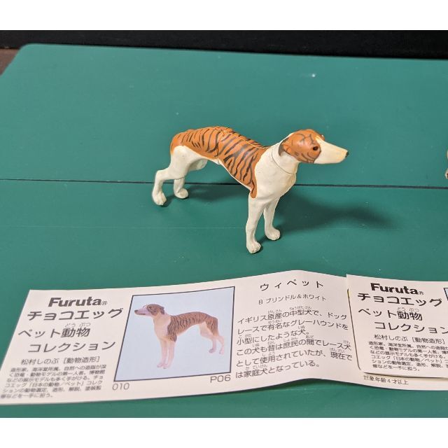 チョコエッグ　日本の動物コレクション　犬　イヌ