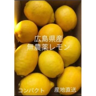 国産　レモン　広島県産　無農薬　レモン　瀬戸内レモン　産地直送(フルーツ)