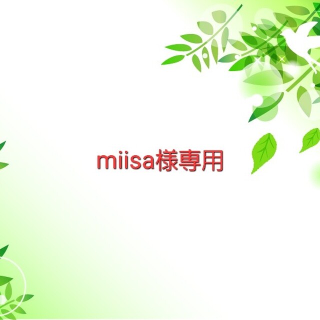 miisa様 エンタメ/ホビーのアニメグッズ(カード)の商品写真