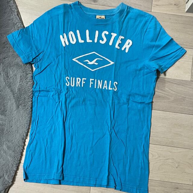 ホリスター　Ｔシャツ　hollister カモメ メンズのトップス(シャツ)の商品写真