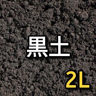 黒土(黒ボク土) 約2L(その他)