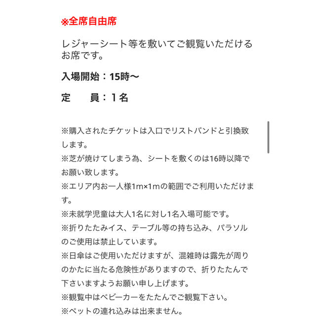 こちらはシ 宇都宮うつのみや花火大会 シート席 チケット2枚の通販