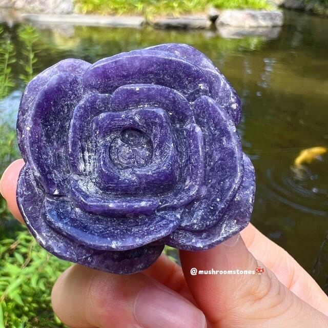 ダークパープル　レピドライト　ローズ　一輪花　紫薔薇　✨銀河満天星✨ 5