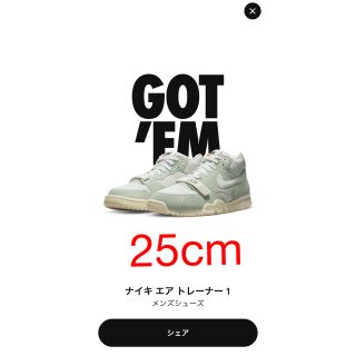 ナイキ(NIKE)のNIKE エアトレーナー1 Enamel Green(スニーカー)