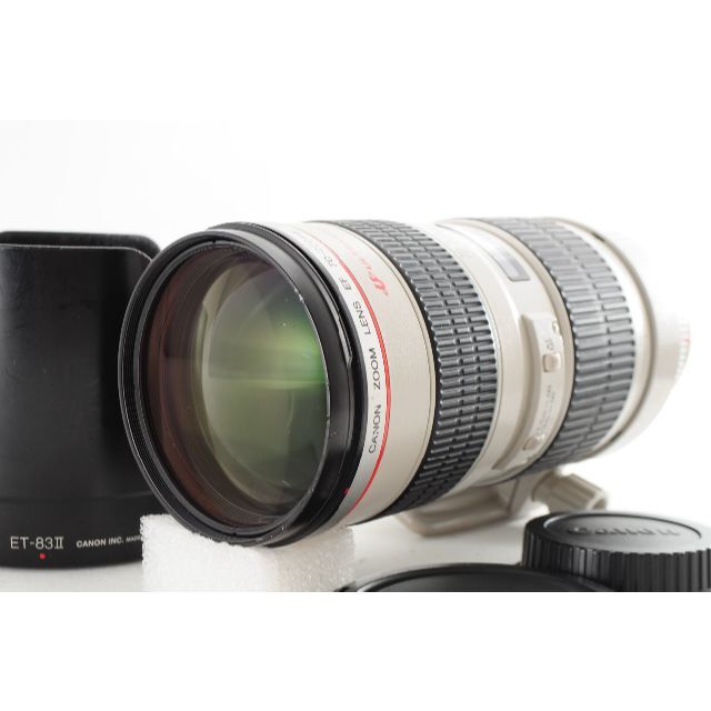 Canon EF 70-200mm F2.8L USM #339