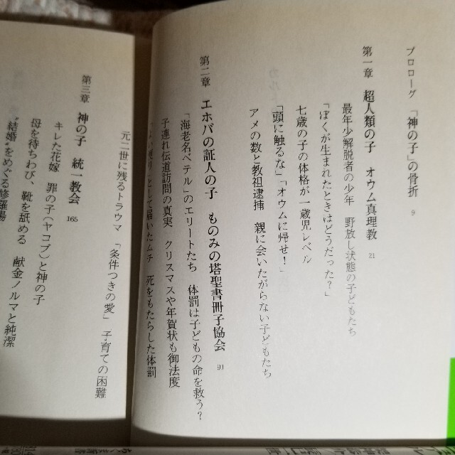 カルトの子 心を盗まれた家族 エンタメ/ホビーの本(その他)の商品写真