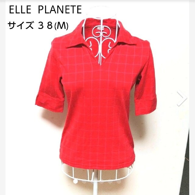 ELLE(エル)の✨ELLE PLANETE★レディース★カットソー★Ｍサイズ レディースのトップス(カットソー(半袖/袖なし))の商品写真