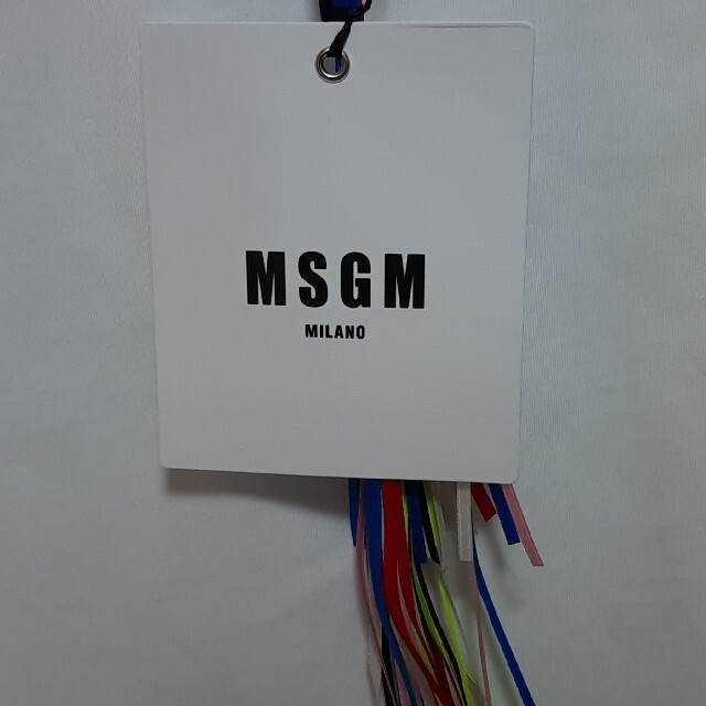 MSGM(エムエスジイエム)の【ラスト一品 新品レディース  XS】MSGM　Tシャツ　人気モデル レディースのトップス(Tシャツ(半袖/袖なし))の商品写真