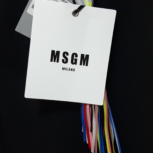 MSGM(エムエスジイエム)の【ラスト一品 新品 レディースSサイズ】MSGM　ロゴTシャツ　ブランドタグ付き レディースのトップス(Tシャツ(半袖/袖なし))の商品写真