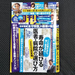 コウダンシャ(講談社)の週刊現代 2022年 7/30号(ニュース/総合)