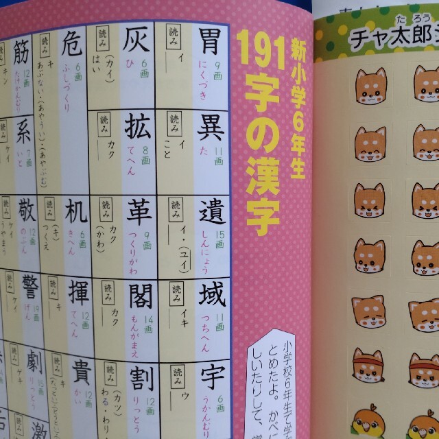 チャ太郎ドリル総復習編　小学５年生 算数・国語・英語・理科・社会 エンタメ/ホビーの本(語学/参考書)の商品写真