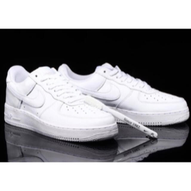 Air Force 1 Low “Color of the Month” 28㎝