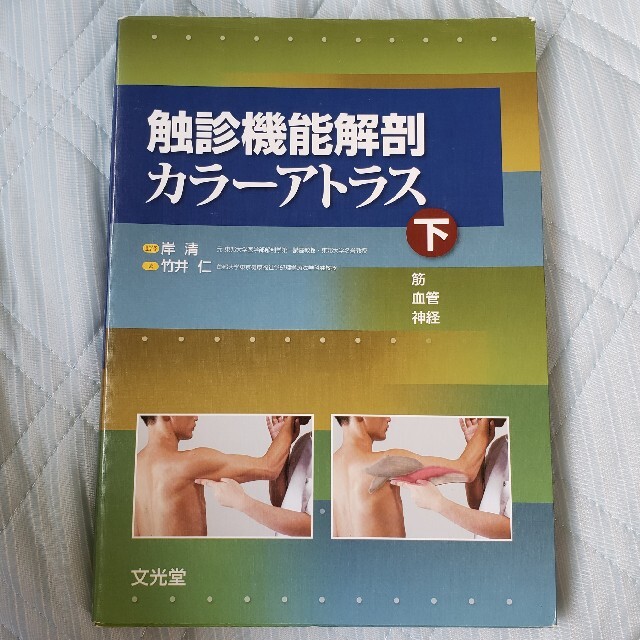 触診機能解剖カラ－アトラス 下 エンタメ/ホビーの本(健康/医学)の商品写真