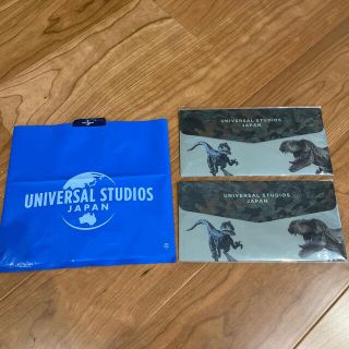 ユニバーサルスタジオジャパン(USJ)のUSJ  PPケース ジュラシックワールド(その他)