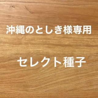 沖縄のとしき様専用　セレクト種子　10袋(野菜)