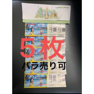 長島ジャンボ海水プール入場券×5人分(プール)