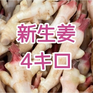 【めっちゃ安い(^O^)終了間近】高知県産 新生姜 4キロ(野菜)
