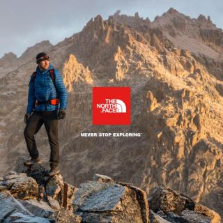 ザノースフェイス(THE NORTH FACE)のmochi様 専用ノースフェイス メンズグローブ Lサイズ(手袋)