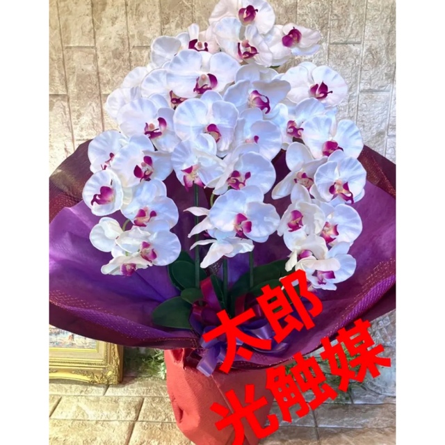 光触媒人工観葉植物ウォールグリーンフェイクフラワハンドメイド 胡蝶