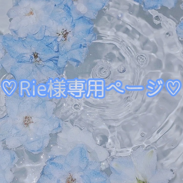 ♡Rie様専用ページ♡ www.jaiba.mg.gov.br