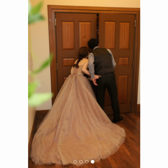 カラードレス 茶色　ブラウン ベアトップ キラキラグリッターチュール 結婚式 レディースのフォーマル/ドレス(ウェディングドレス)の商品写真