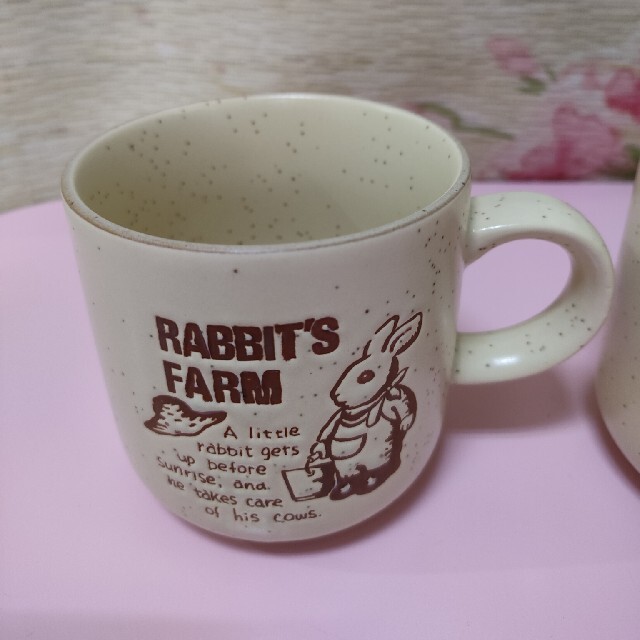 たち吉(タチキチ)のTACHIKICHI たち吉 マグカップ ２個 RABBIT'S FARM 兎 インテリア/住まい/日用品のキッチン/食器(グラス/カップ)の商品写真