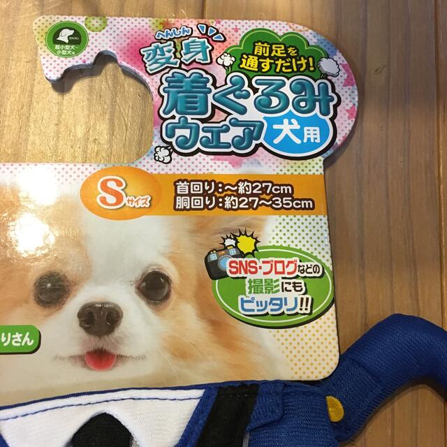 ペティオ  犬用服 その他のペット用品(犬)の商品写真