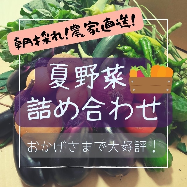 おかげさまで大好評！たっぷりおまかせ夏野菜詰め合わせ 80サイズ 食品/飲料/酒の食品(野菜)の商品写真