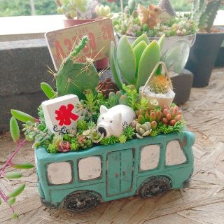 多肉植物  寄せ植え  即購入OK！(その他)