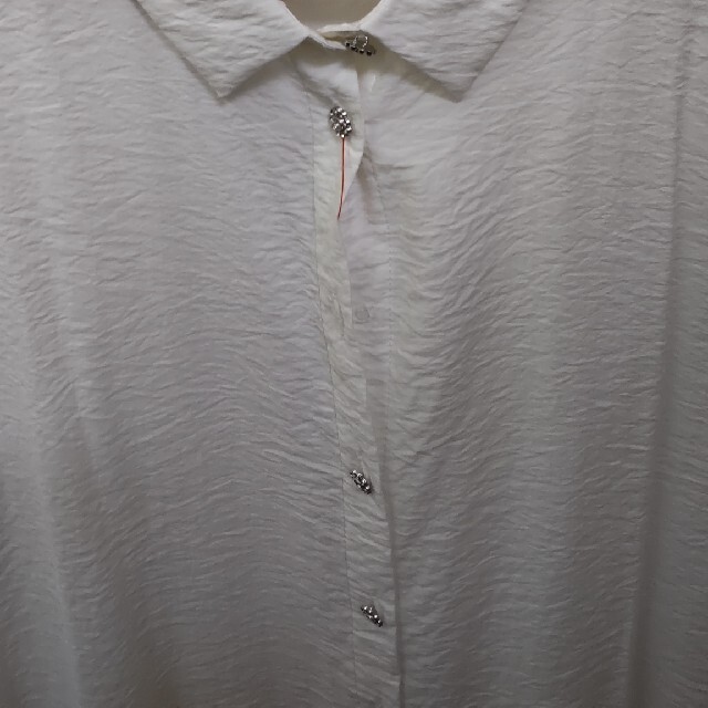 ZARA(ザラ)のお値引きザラワンピース半袖 メンズのトップス(Tシャツ/カットソー(半袖/袖なし))の商品写真