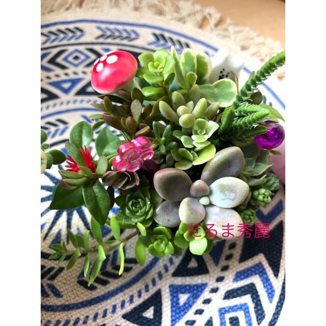 多肉植物❤︎寄せ植え❤︎このまま飾れます❤︎ツインズ♪3点でも購入出来ます ハンドメイドのフラワー/ガーデン(その他)の商品写真