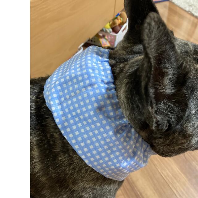 犬用　クールネック その他のペット用品(犬)の商品写真