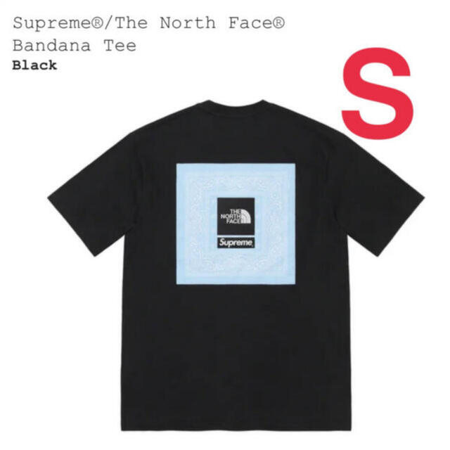 Supreme The North Face Bandana Tee Sサイズ