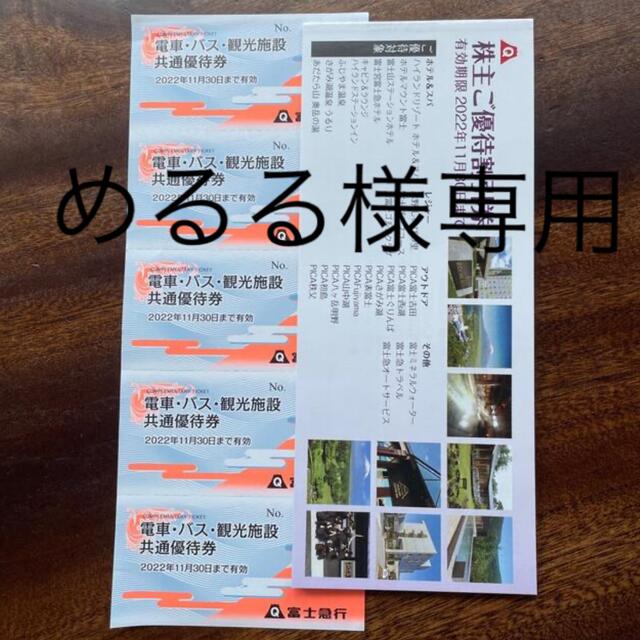 ☆めるる様専用☆富士急行株主優待券セット 施設利用券 ☆めるる様専用☆富士急行株主優待券セット 施設利用券