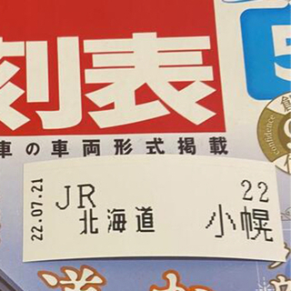 JR 使用済みきっぷ　秘境駅　切符(鉄道乗車券)