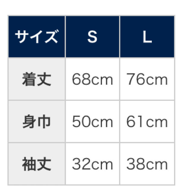 埼玉西武ライオンズ(サイタマセイブライオンズ)の【ツノ様専用】Ｌサイズ西武ライオンズ２着　ユニホーム スポーツ/アウトドアの野球(ウェア)の商品写真