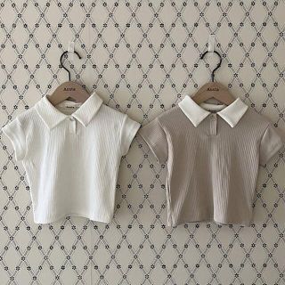 dandy collar T(Tシャツ/カットソー)